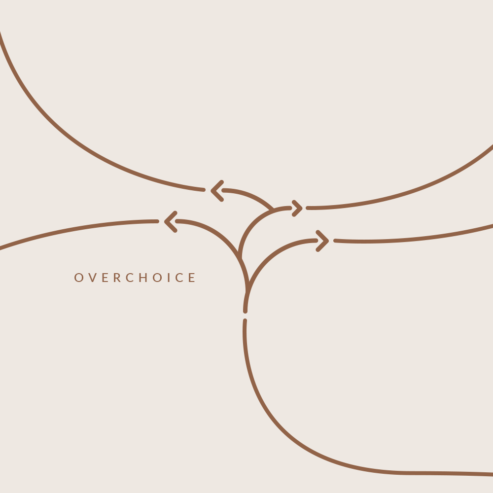 Roxy Génier - Luxury Anti-Values - Overchoice